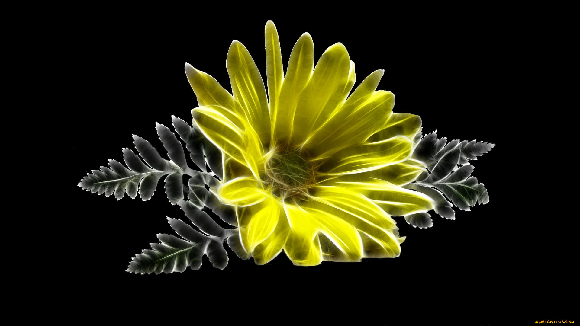 ,  , , , 